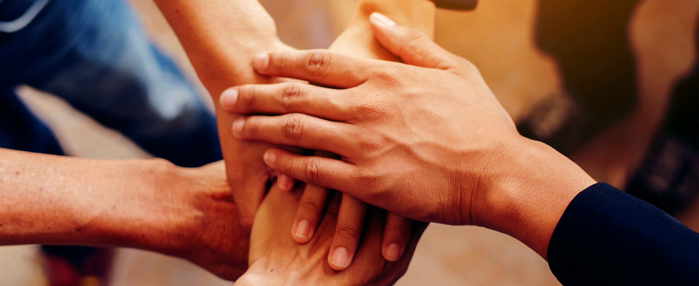 mani del personale di Vicini Spa per un miglior servizio al cliente